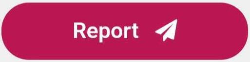 report.jpg