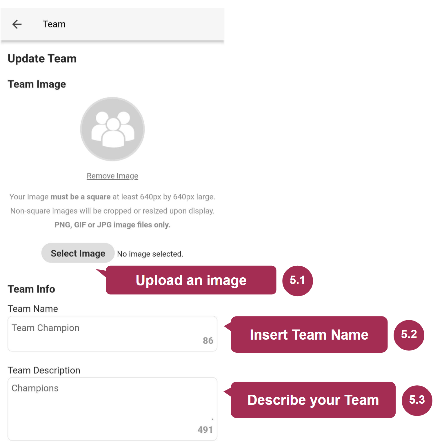 team information.png
