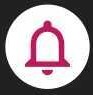 notification icon - all projects.jpg